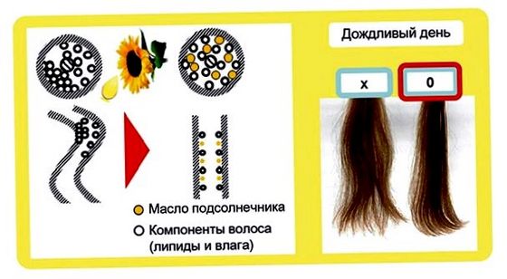 Dear Beauté HIMAWARI - ефективне відновлення волосся для прекрасних і позитивних