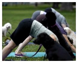 "Дога-йога" - заняття йогою разом зі своїм собакою