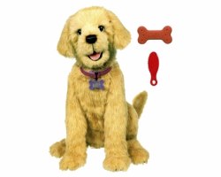 Інтерактивні іграшки для собак