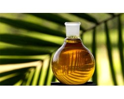 Використання і лікувальні властивості пальмового масла