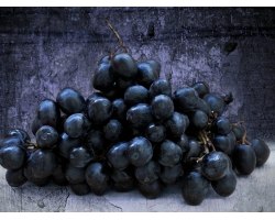 Використання винотерапии і винограду в косметології