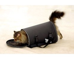 Як привчити кота не боятися сумки-переноски