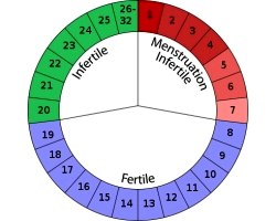Календарний метод запобігання від вагітності