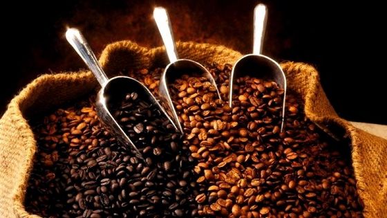 На сторожі бадьорості: як правильно зберігати каву в домашніх умовах?