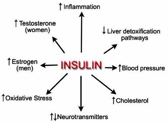 Нормальний рівень інсуліну в крові