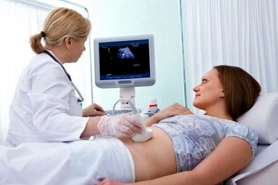 Запліднення яйцеклітини, виділення, ознаки вагітності