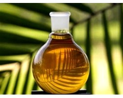 Пальмова олія в дитячому харчуванні