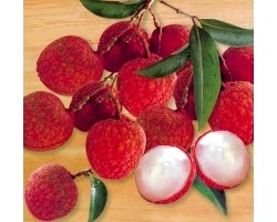 Корисні властивості і застосування в лікувальних цілях фрукта лічі