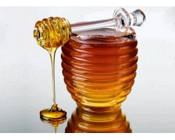 Корисні властивості каштанового меду