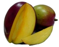 Корисні властивості олії манго і його застосування