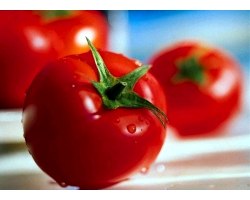 Корисні властивості томатів