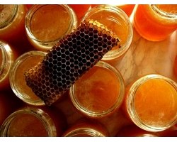 Застосування прополісу та інших продуктів бджільництва при вагітності