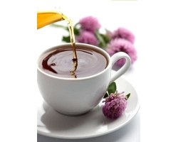 Різні види чаю і їх корисні властивості