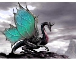 Символ чорний дракон