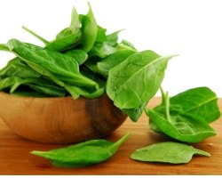 Сік шпинату: склад, властивості і користь