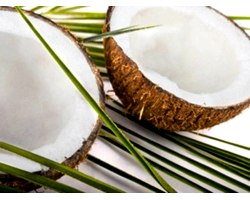 Властивості і застосування масла кокоса