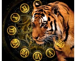 Важливі справи в рік Тигра