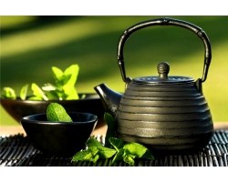 Види зеленого чаю і їх корисні властивості