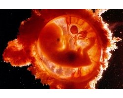 Зачаття дитини і ознаки вагітності