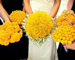 Жовта весілля: організовуємо сонячний свято
